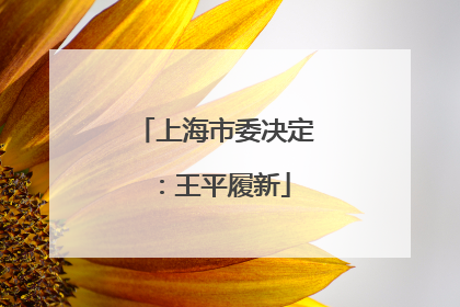 上海市委决定：王平履新