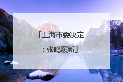 上海市委决定：张鸣履新