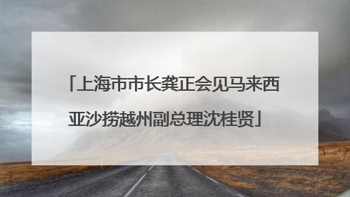 上海市市长龚正会见马来西亚沙捞越州副总理沈桂贤
