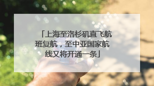 上海至洛杉矶直飞航班复航，至中亚国家航线又将开通一条