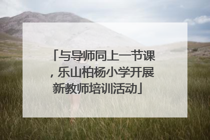 与导师同上一节课，乐山柏杨小学开展新教师培训活动