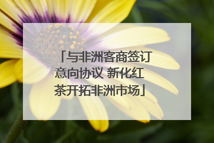 与非洲客商签订意向协议 新化红茶开拓非洲市场