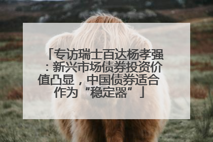 专访瑞士百达杨孝强：新兴市场债券投资价值凸显，中国债券适合作为“稳定器”