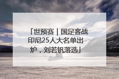 世预赛｜国足客战印尼25人大名单出炉，刘若钒落选