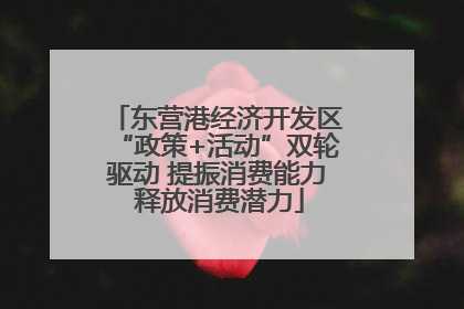 东营港经济开发区“政策+活动”双轮驱动 提振消费能力 释放消费潜力