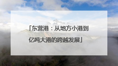 东营港：从地方小港到亿吨大港的跨越发展