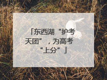东西湖“护考天团”，为高考“上分”