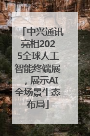 中兴通讯亮相2025全球人工智能终端展，展示AI全场景生态布局
