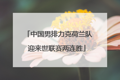 中国男排力克荷兰队 迎来世联赛两连胜