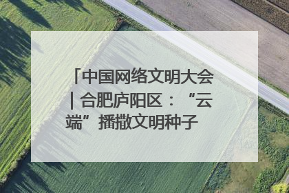 中国网络文明大会｜合肥庐阳区：“云端”播撒文明种子 共建清朗网络空间