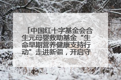 中国红十字基金会合生元母婴救助基金“生命早期营养健康支持行动”走进新疆，开启守护母婴新篇章！