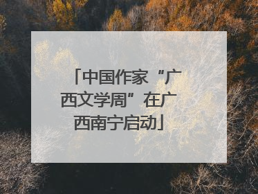 中国作家“广西文学周”在广西南宁启动