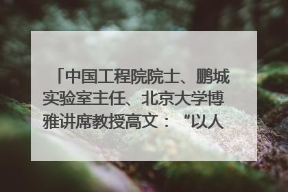 中国工程院院士、鹏城实验室主任、北京大学博雅讲席教授高文：“以人为本 智能向善” 推动文化与科技相生相促｜聚焦2025文化强国建设高峰论坛