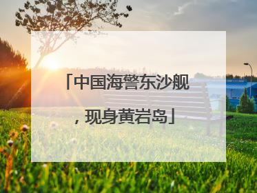 中国海警东沙舰，现身黄岩岛