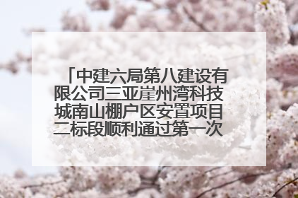 中建六局第八建设有限公司三亚崖州湾科技城南山棚户区安置项目二标段顺利通过第一次主体结构验收