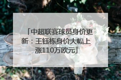 中超联赛球员身价更新：王钰栋身价大幅上涨110万欧元