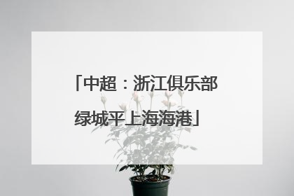 中超：浙江俱乐部绿城平上海海港