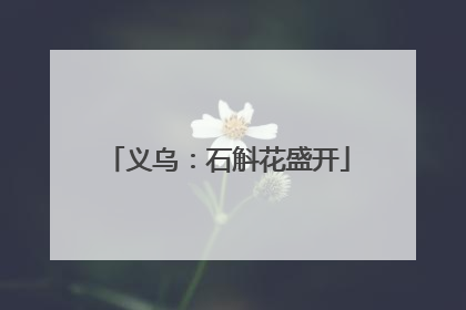义乌：石斛花盛开