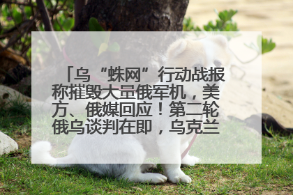乌“蛛网”行动战报称摧毁大量俄军机，美方、俄媒回应！第二轮俄乌谈判在即，乌克兰提出三大诉求