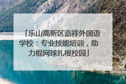 乐山高新区嘉祥外国语学校：专业技能培训，助力棍网球扎根校园