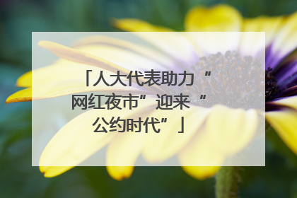 人大代表助力“网红夜市”迎来“公约时代”