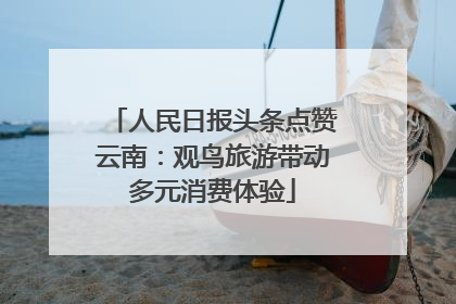 人民日报头条点赞云南：观鸟旅游带动多元消费体验