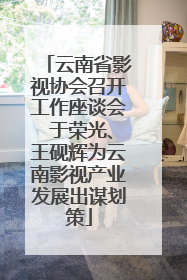 云南省影视协会召开工作座谈会 于荣光、王砚辉为云南影视产业发展出谋划策