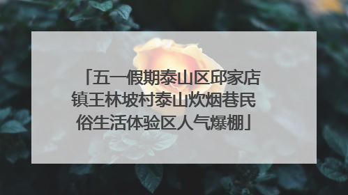 五一假期泰山区邱家店镇王林坡村泰山炊烟巷民俗生活体验区人气爆棚