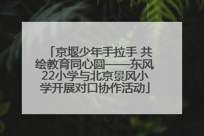 京堰少年手拉手 共绘教育同心圆——东风22小学与北京景风小学开展对口协作活动