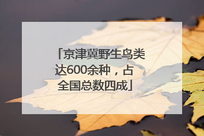 京津冀野生鸟类达600余种，占全国总数四成