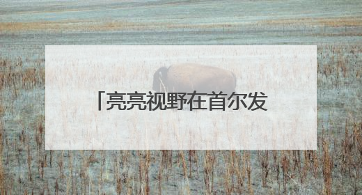 亮亮视野在首尔发布 Leion Hey2：实时翻译让世界“听”中国话
