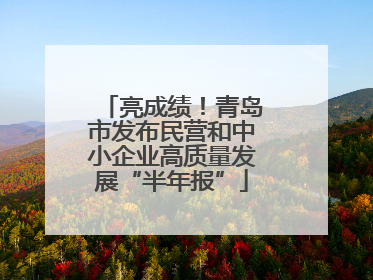 亮成绩！青岛市发布民营和中小企业高质量发展“半年报”
