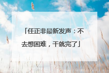 任正非最新发声：不去想困难，干就完了