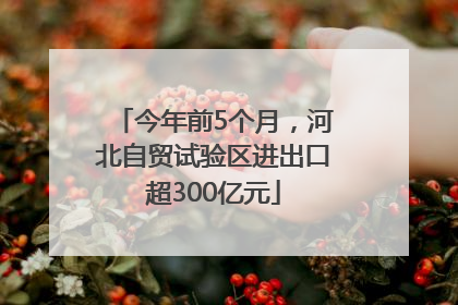 今年前5个月，河北自贸试验区进出口超300亿元