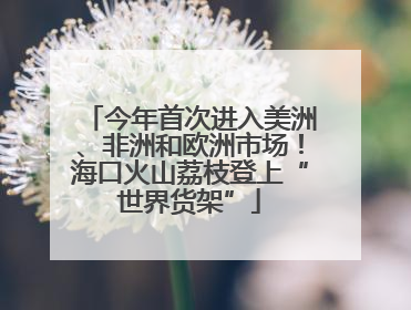 今年首次进入美洲、非洲和欧洲市场！海口火山荔枝登上“世界货架”