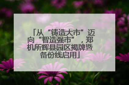 从“铸造大市”迈向“智造强市”，郑机所辉县园区揭牌暨备份线启用