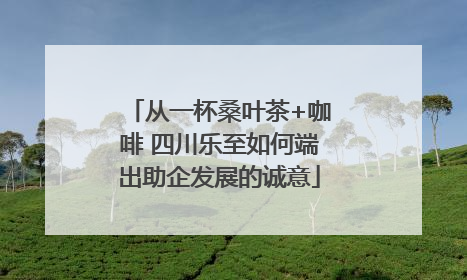 从一杯桑叶茶+咖啡 四川乐至如何端出助企发展的诚意