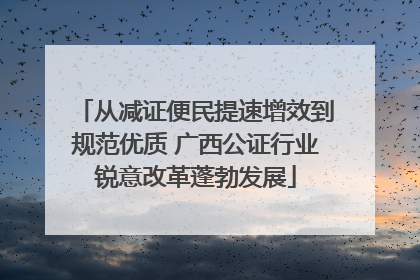 从减证便民提速增效到规范优质 广西公证行业锐意改革蓬勃发展