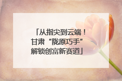 从指尖到云端！甘肃“陇原巧手”解锁创富新赛道