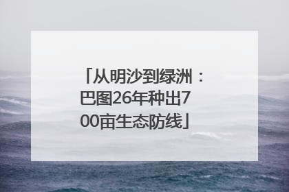 从明沙到绿洲：巴图26年种出700亩生态防线