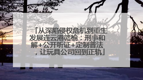 从深陷侵权危机到重生发展连云港赣榆：刑事和解+公开听证+定制普法，让玩具公司回到正轨