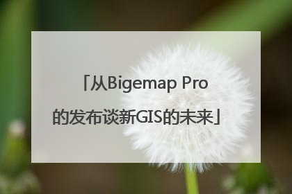 从Bigemap Pro的发布谈新GIS的未来
