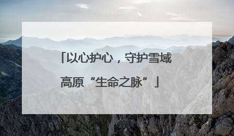 以心护心，守护雪域高原“生命之脉”