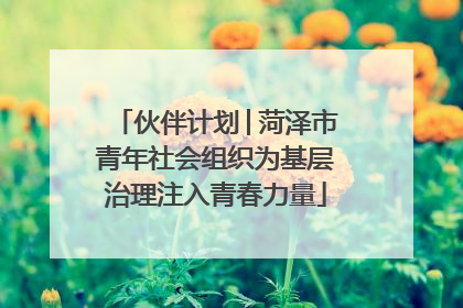 伙伴计划│菏泽市青年社会组织为基层治理注入青春力量