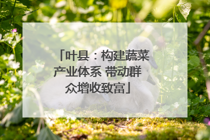 叶县：构建蔬菜产业体系 带动群众增收致富