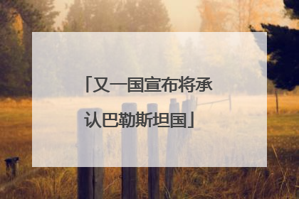 又一国宣布将承认巴勒斯坦国
