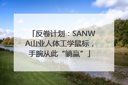 反卷计划：SANWA山业人体工学鼠标，手腕从此“躺赢”