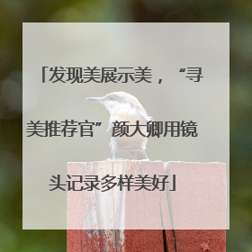 发现美展示美，“寻美推荐官”颜大卿用镜头记录多样美好