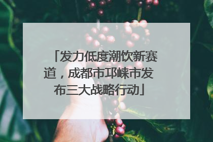 发力低度潮饮新赛道，成都市邛崃市发布三大战略行动
