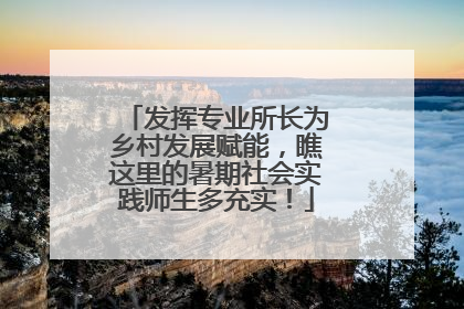 发挥专业所长为乡村发展赋能，瞧这里的暑期社会实践师生多充实！